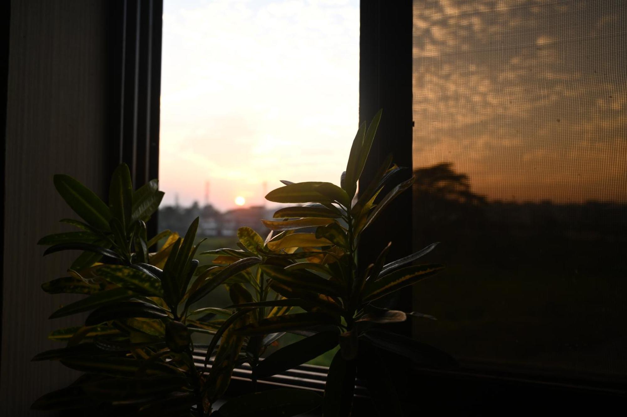 Bed and Breakfast The Cabin By The Bayou Guwahati Exterior foto